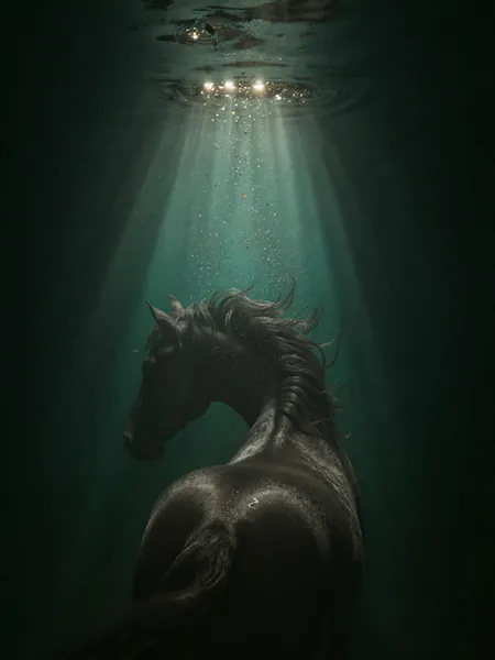 Tatiana NeyroZ work